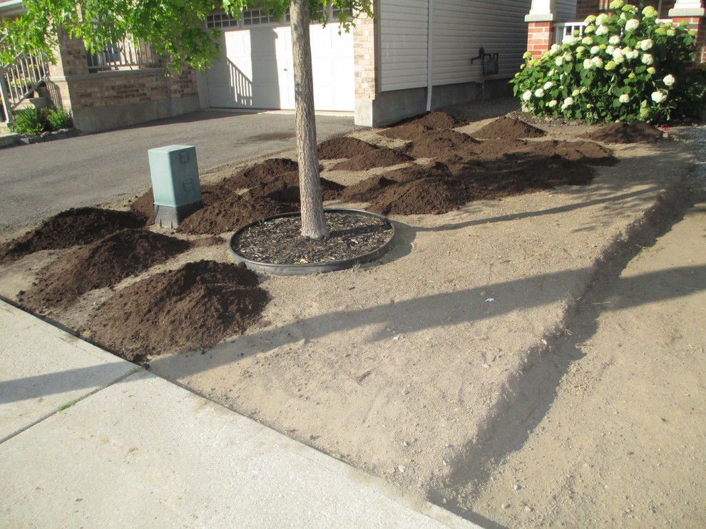 Barrhaven Front Yard & Side Yard Landscaping Modern Landscape