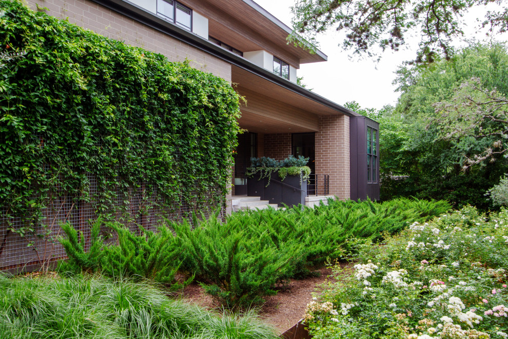 Design ideas for a midcentury garden in Austin.