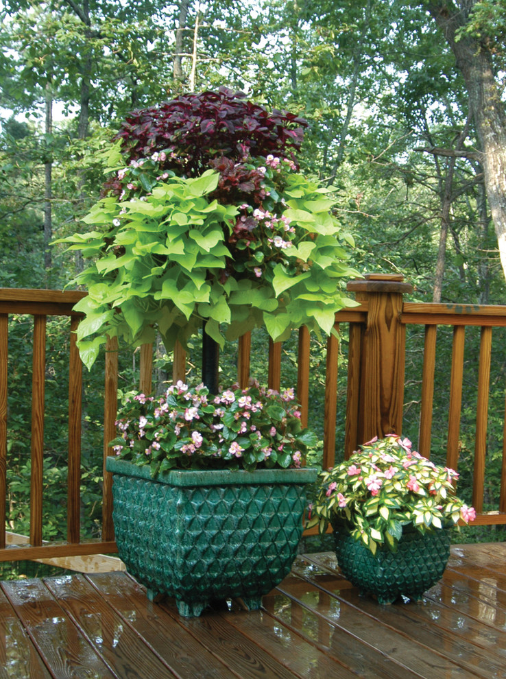 Esempio di un giardino classico esposto a mezz'ombra con un giardino in vaso