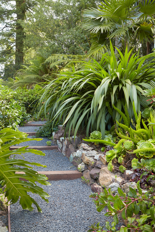 Foto di un giardino formale tropicale in ombra di medie dimensioni e dietro casa con un ingresso o sentiero e ghiaia