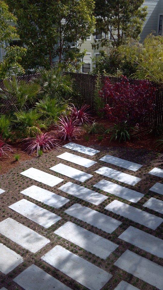 Photo of a medium sized contemporary back xeriscape full sun garden in San Francisco with a garden path and concrete paving.