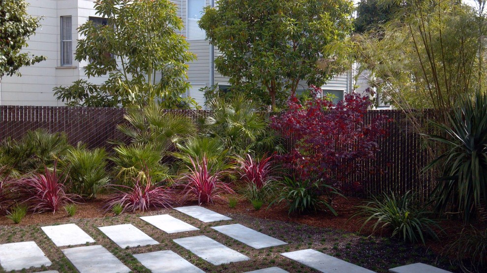 Photo of a mid-sized contemporary drought-tolerant and full sun backyard concrete paver garden path in San Francisco.