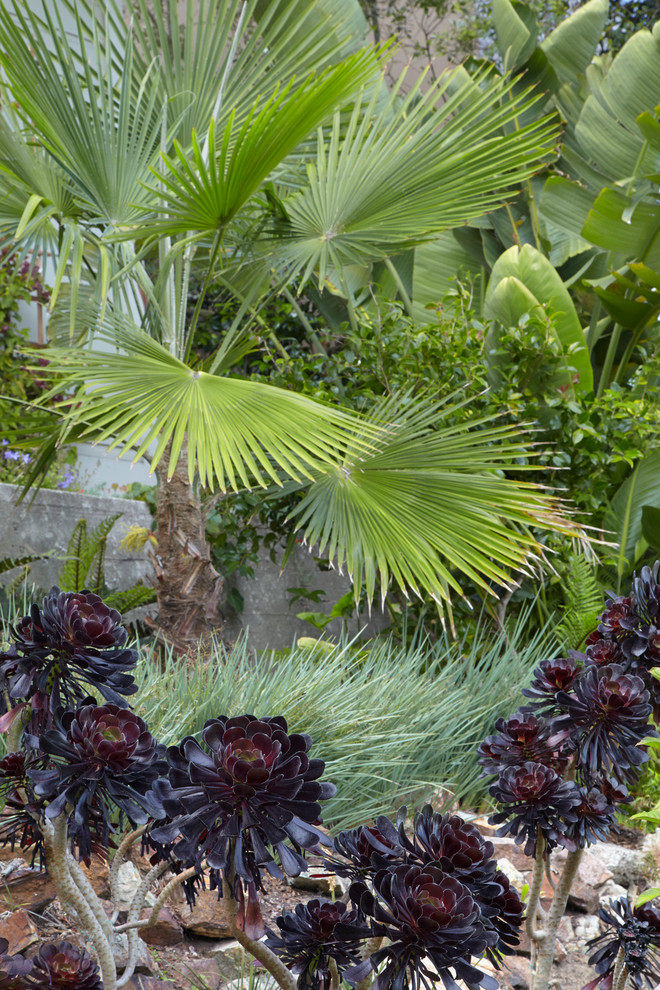 Cette photo montre un jardin arrière exotique de taille moyenne avec du gravier et une exposition partiellement ombragée.