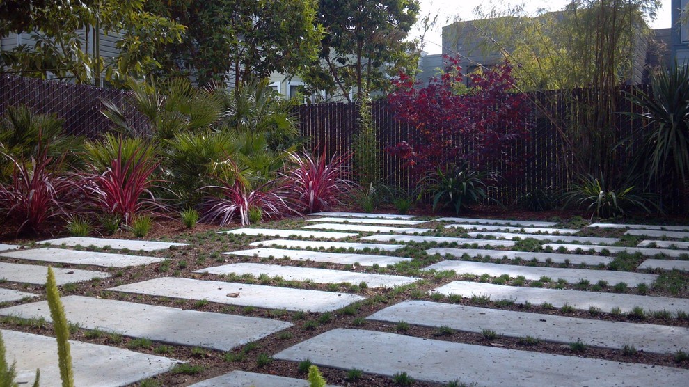 Modelo de camino de jardín de secano actual de tamaño medio en patio trasero con exposición total al sol y adoquines de hormigón