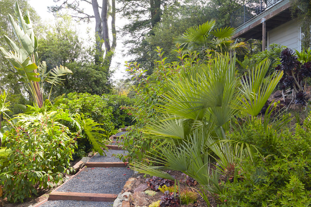 Bay Area Designs Tropical Landscape San Francisco by Patrick Lannan Designs Houzz