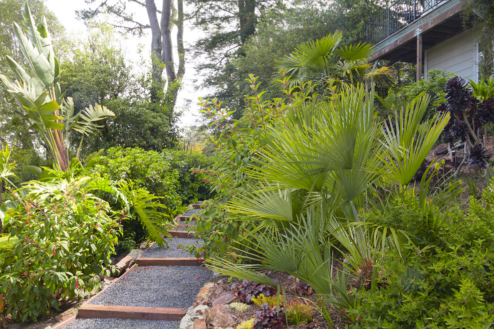 Esempio di un giardino formale tropicale in ombra di medie dimensioni e dietro casa con un ingresso o sentiero e ghiaia