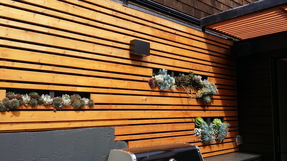 This is an example of a medium sized contemporary back partial sun garden in San Francisco with a living wall.