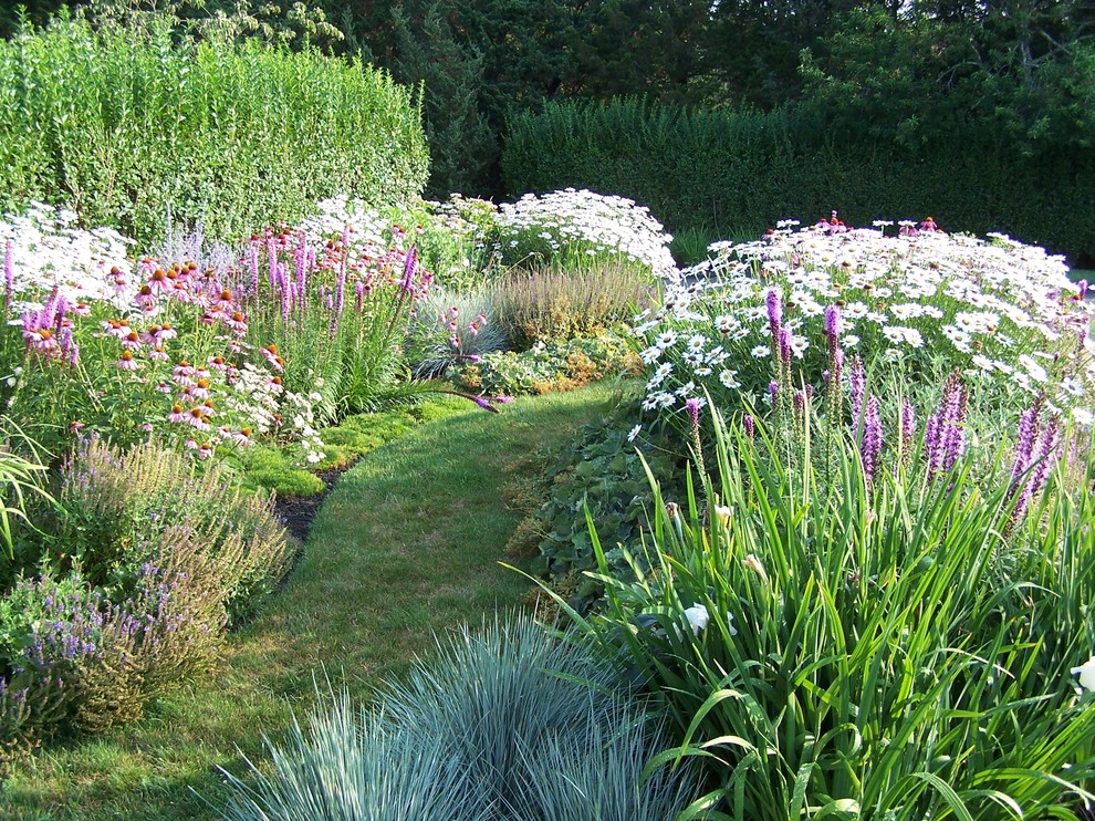 Cette image montre un jardin à la française arrière marin l'été avec une exposition ensoleillée.