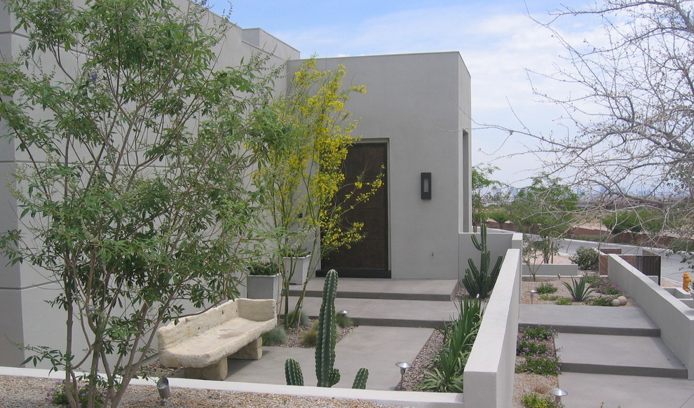 Moderner Garten mit Wüstengarten in Las Vegas
