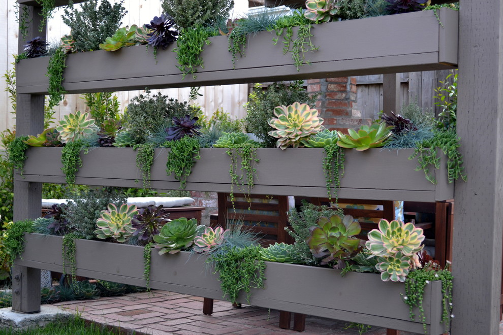 Diseño de jardín contemporáneo de tamaño medio en patio trasero con exposición parcial al sol, adoquines de ladrillo y jardín vertical