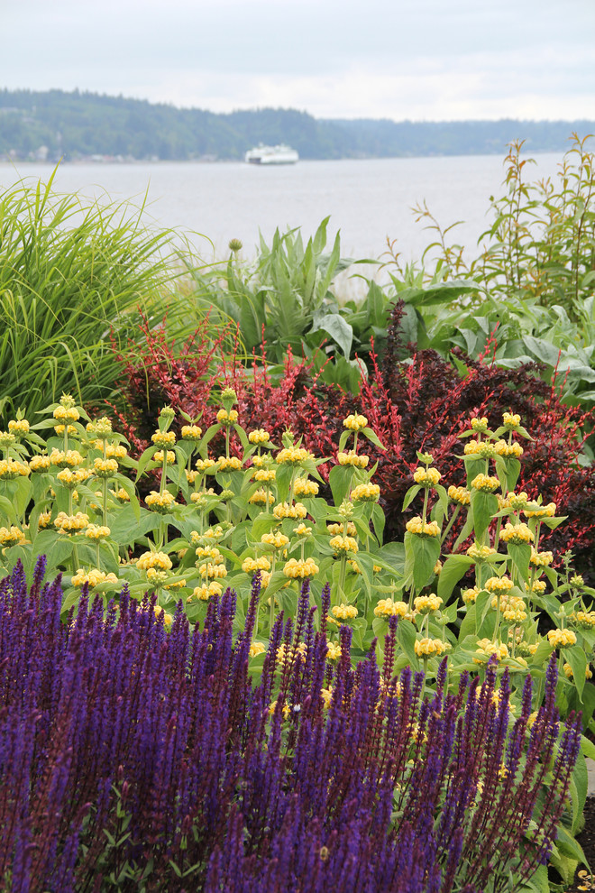 Inspiration for a coastal full sun front yard landscaping in Seattle.