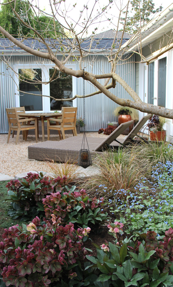 Photo of a contemporary partial sun courtyard gravel landscaping in Seattle.