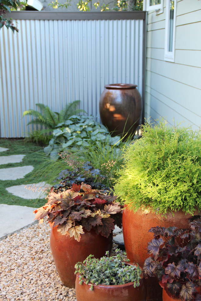 This is an example of a beach style garden in Seattle with a potted garden.