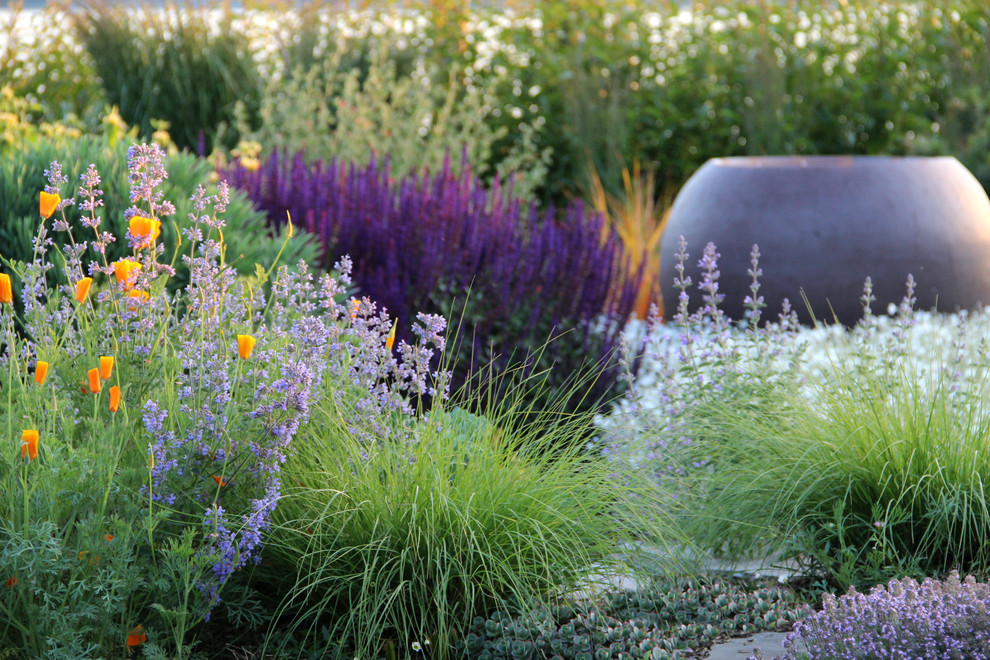 Photo of a contemporary full sun front yard landscaping in Seattle.