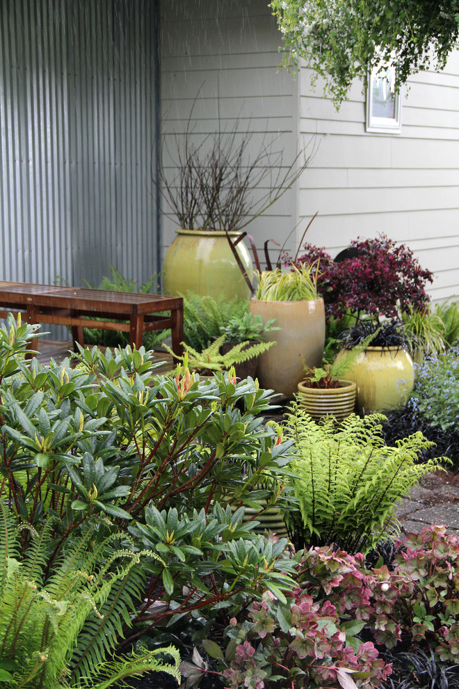 Inspiration for a contemporary side fully shaded garden in Seattle with a potted garden.