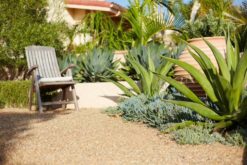 На фото: засухоустойчивый сад среднего размера на внутреннем дворе в средиземноморском стиле с полуденной тенью и покрытием из гравия