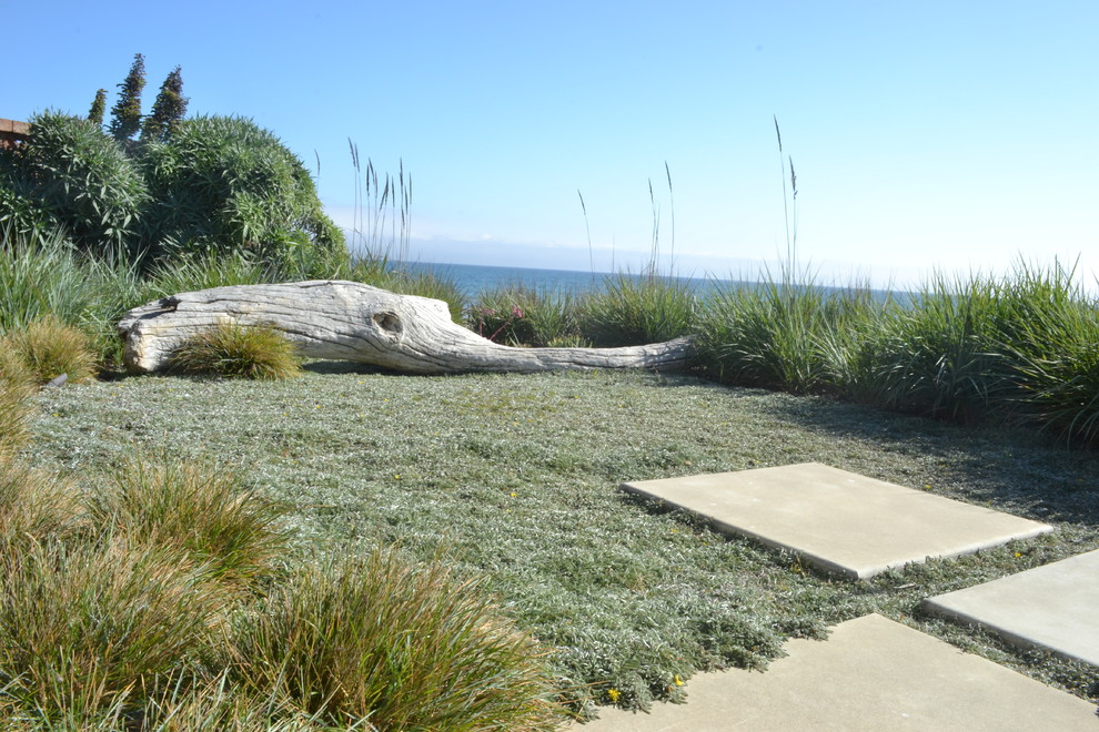 Maritimer Garten hinter dem Haus mit direkter Sonneneinstrahlung in San Luis Obispo