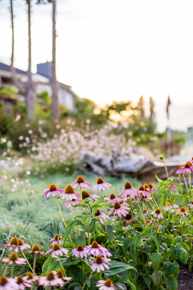 Esempio di un grande giardino minimal esposto in pieno sole dietro casa in estate con fontane e pavimentazioni in pietra naturale