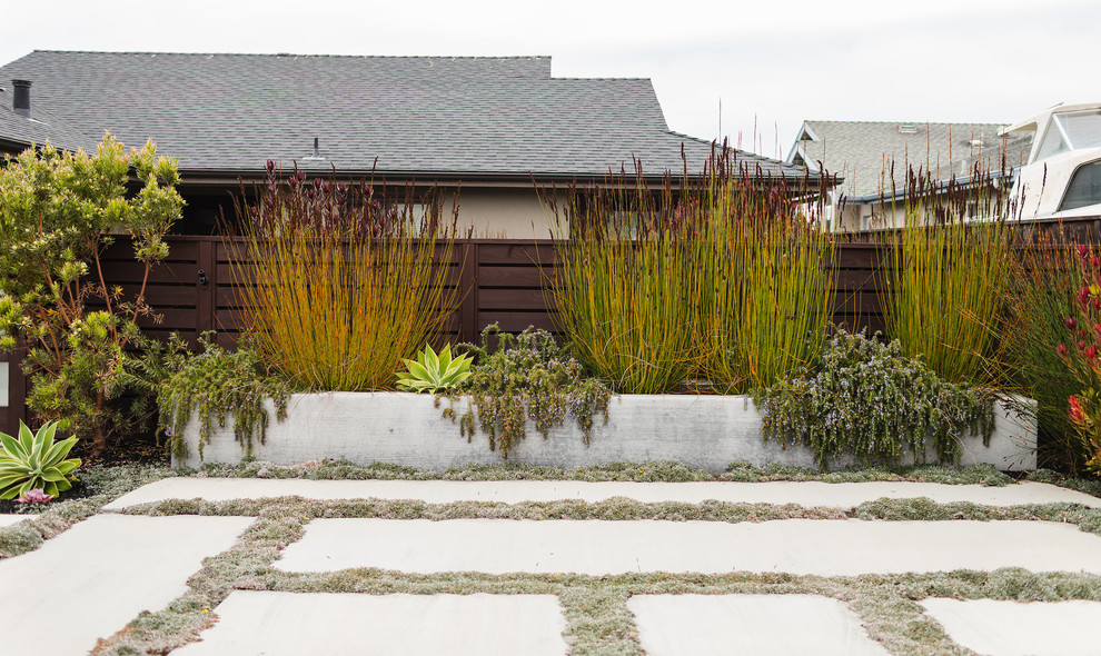 Medium sized contemporary front driveway garden in San Luis Obispo with concrete paving.