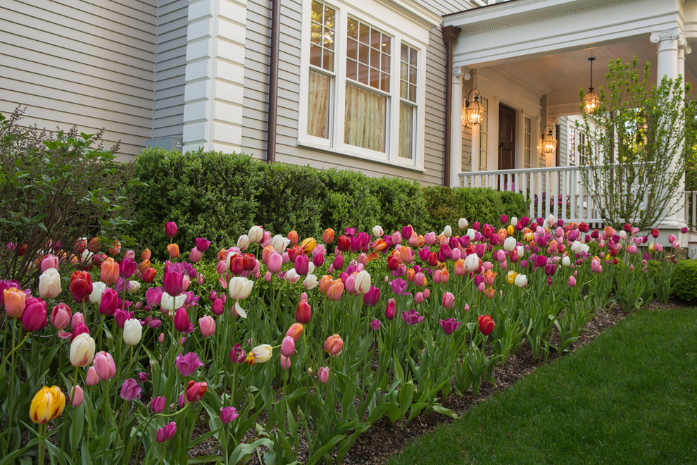 Diseño de jardín clásico en primavera en patio delantero con parterre de flores
