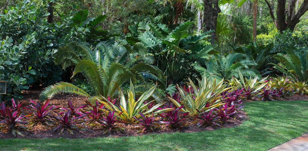 Idee per un grande giardino tropicale esposto a mezz'ombra davanti casa