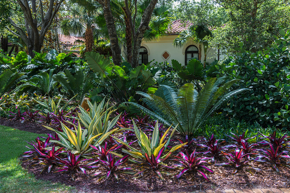 Immagine di un grande giardino tropicale esposto a mezz'ombra davanti casa