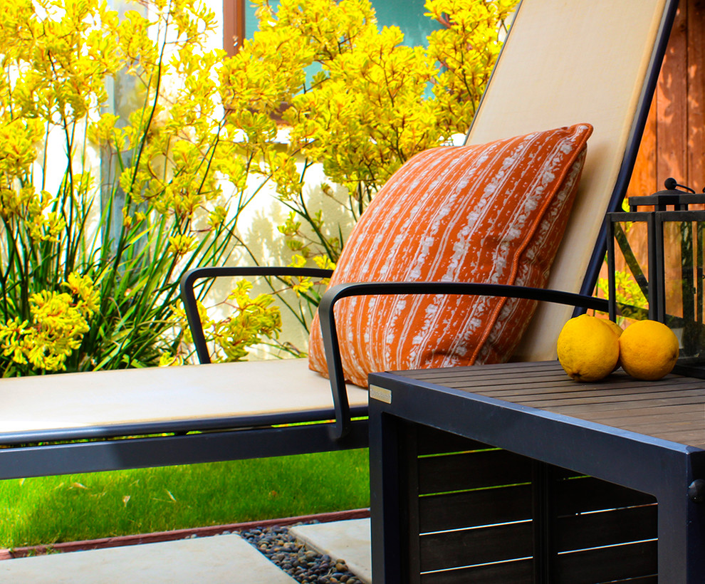 Beautiful BackyardsDroughttolerant plants Modern Landscape Los