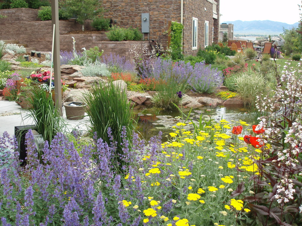 Klassischer Garten im Sommer, hinter dem Haus mit Wasserspiel und direkter Sonneneinstrahlung in Denver