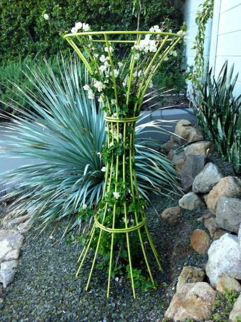 Inspiration for a contemporary landscaping in Los Angeles.