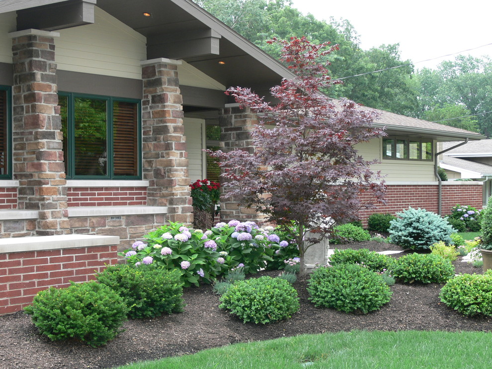 Large traditional front partial sun garden in Cleveland.