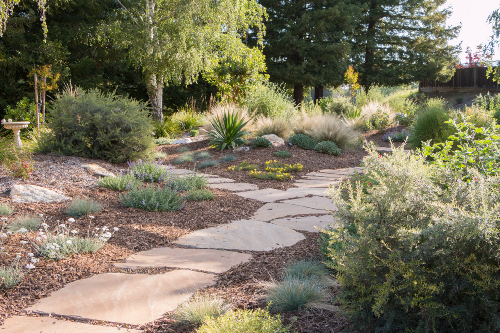 Ispirazione per un giardino xeriscape mediterraneo esposto in pieno sole dietro casa con pavimentazioni in pietra naturale