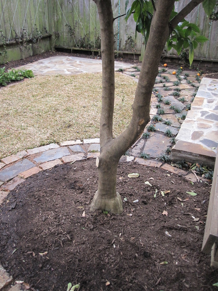 Beautiful Oranges Trees and Lots of Shade Traditional Landscape