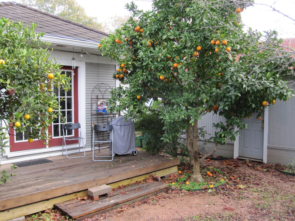 Beautiful Oranges Trees and Lots of Shade Traditional Landscape