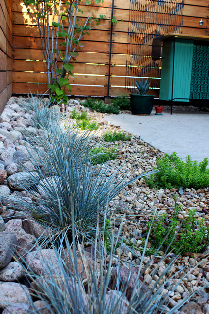 Beck Residence Modern Garden, Denver Landscape Designers Residential