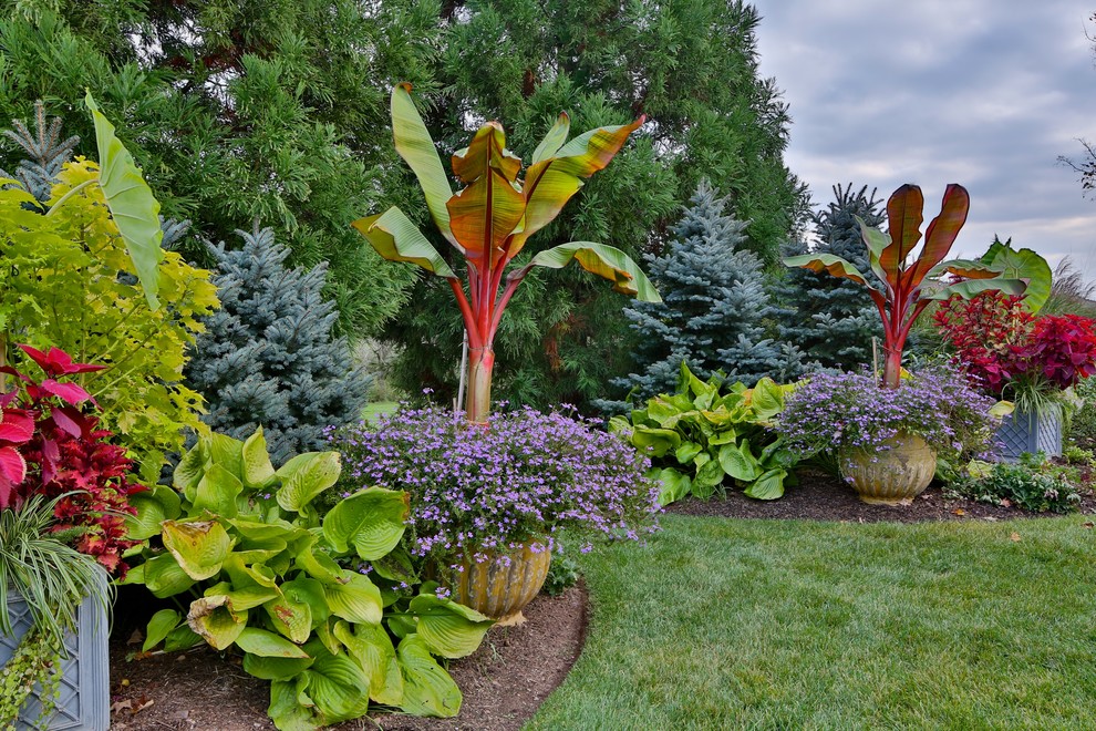Источник вдохновения для домашнего уюта: большой регулярный сад на заднем дворе в классическом стиле с растениями в контейнерах