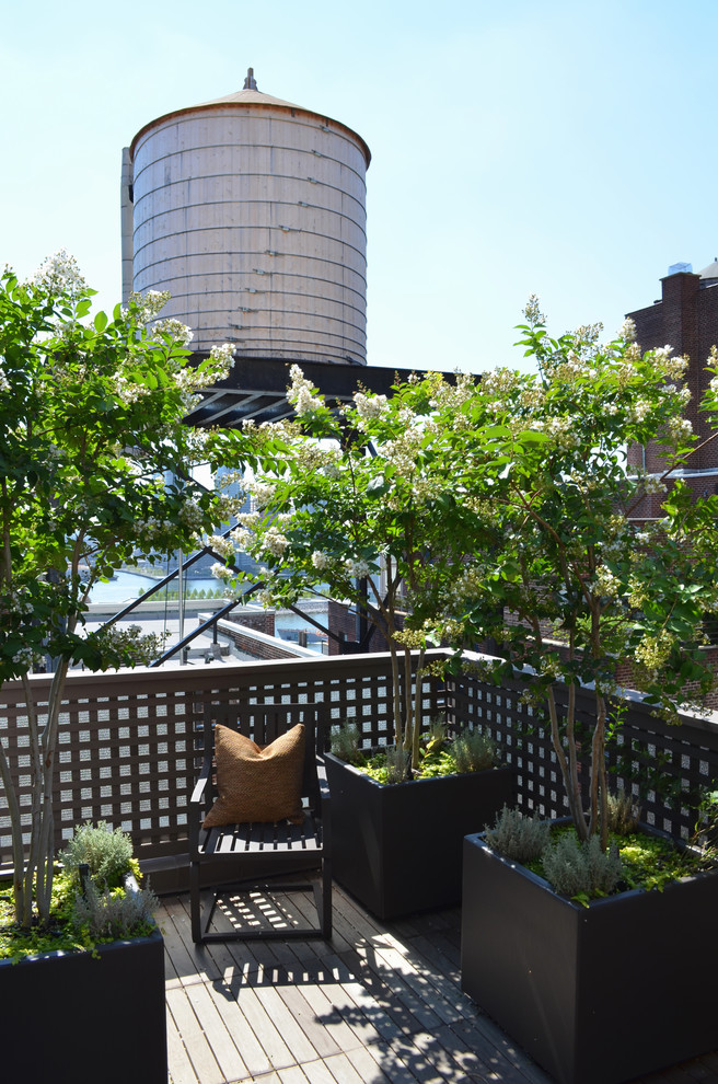 На фото: солнечный, летний участок и сад на крыше в стиле неоклассика (современная классика) с растениями в контейнерах и хорошей освещенностью с