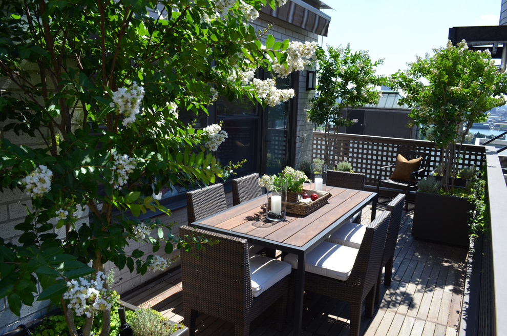 Immagine di un giardino chic esposto in pieno sole sul tetto in estate con un giardino in vaso