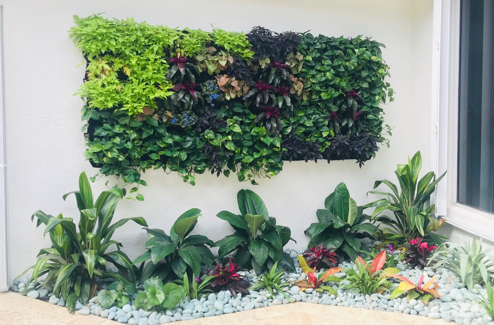 Photo of a small world-inspired courtyard partial sun garden in Miami with a living wall.