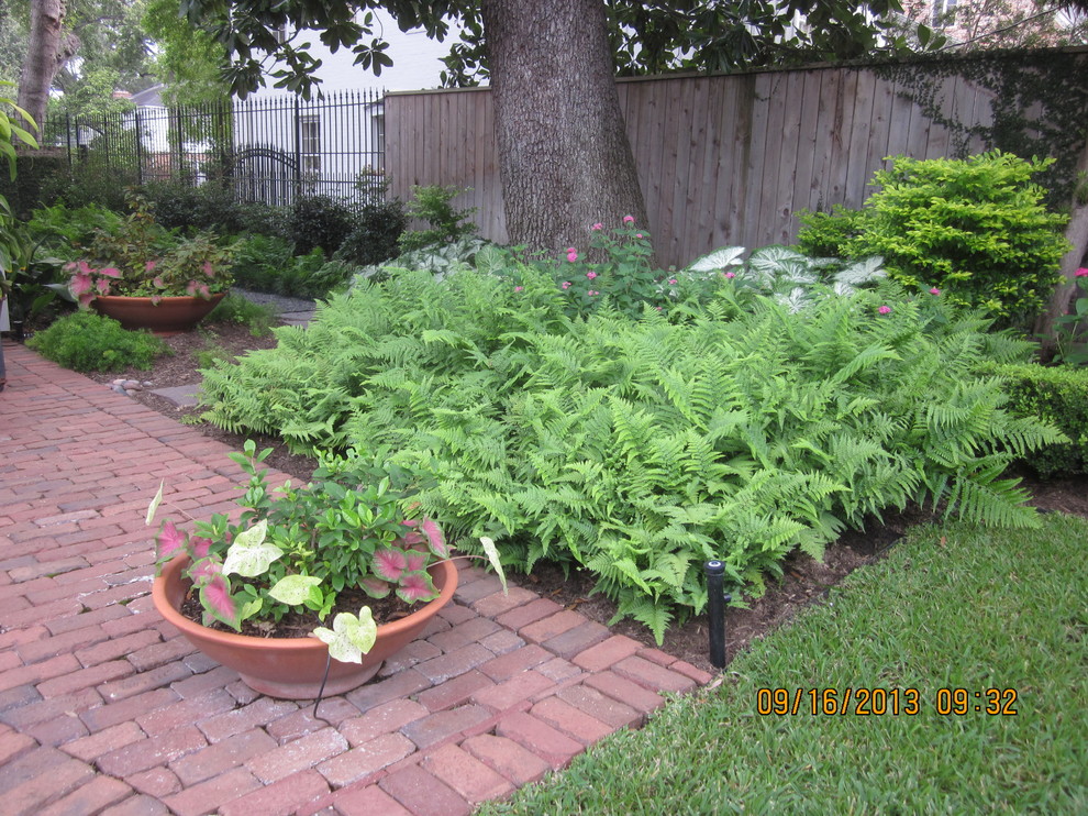 Design ideas for a traditional landscaping in Houston.