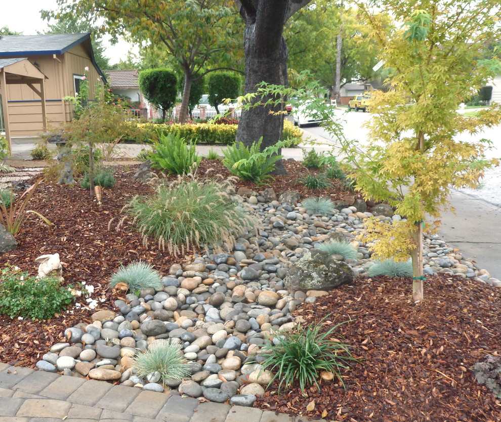 Before and After - Asian - Landscape - San Francisco - by JPM Landscape ...