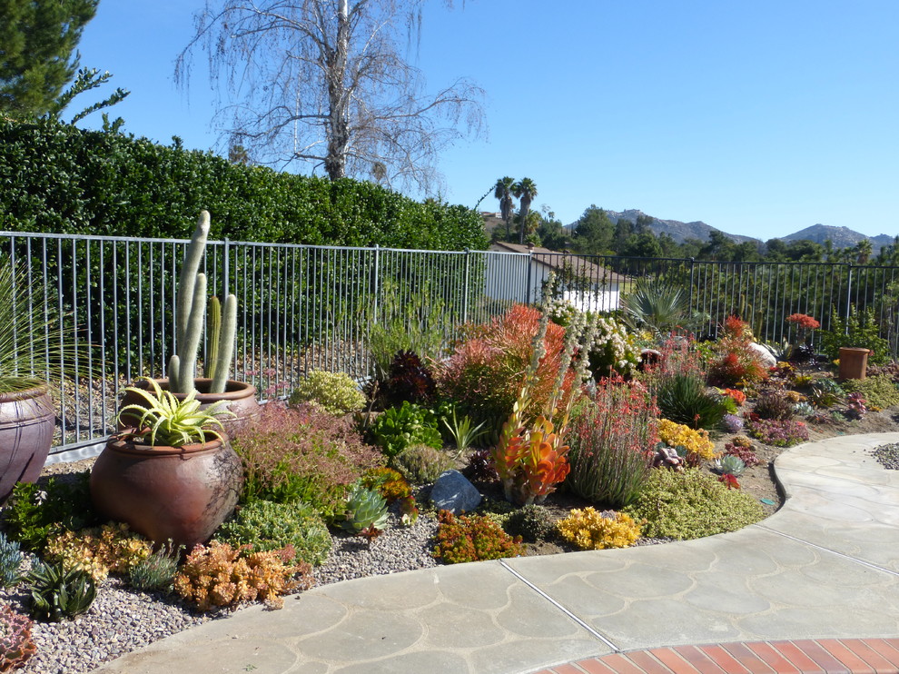 На фото: большой солнечный засухоустойчивый сад на заднем дворе в классическом стиле с садовой дорожкой или калиткой, хорошей освещенностью и покрытием из каменной брусчатки