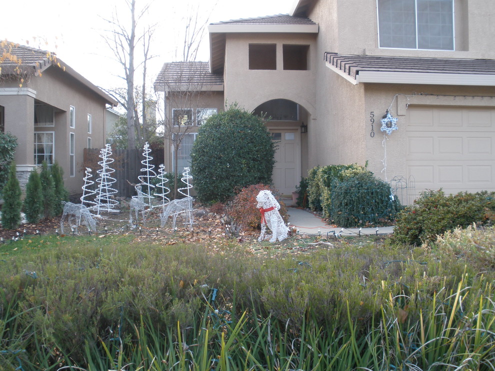 Photo of a contemporary drought-tolerant and full sun front yard landscaping in Sacramento.