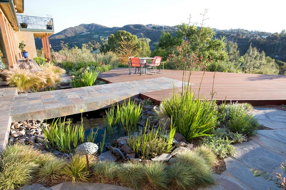 Geräumiger Moderner Garten im Herbst mit direkter Sonneneinstrahlung in Los Angeles