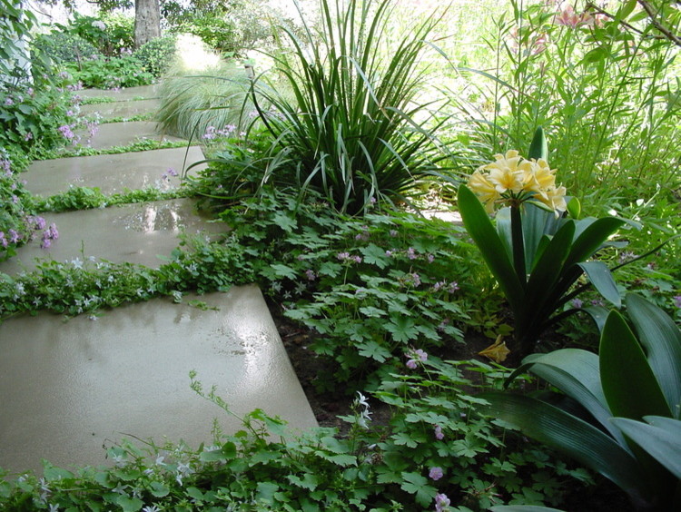 Foto di un giardino minimal esposto a mezz'ombra di medie dimensioni e in cortile in estate con un ingresso o sentiero e ghiaia