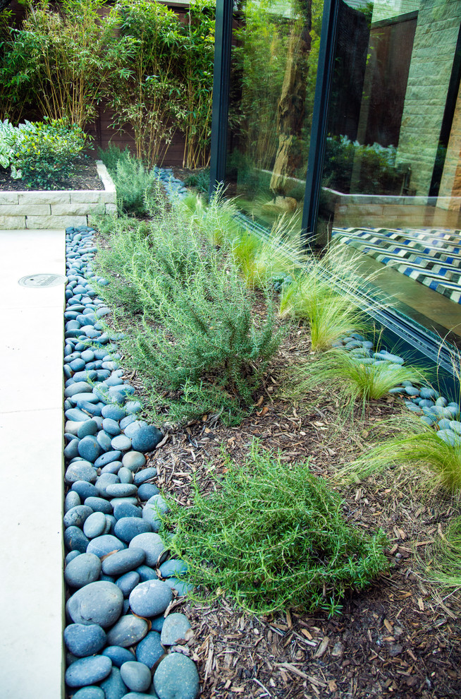 Immagine di un piccolo giardino xeriscape moderno esposto in pieno sole dietro casa in estate