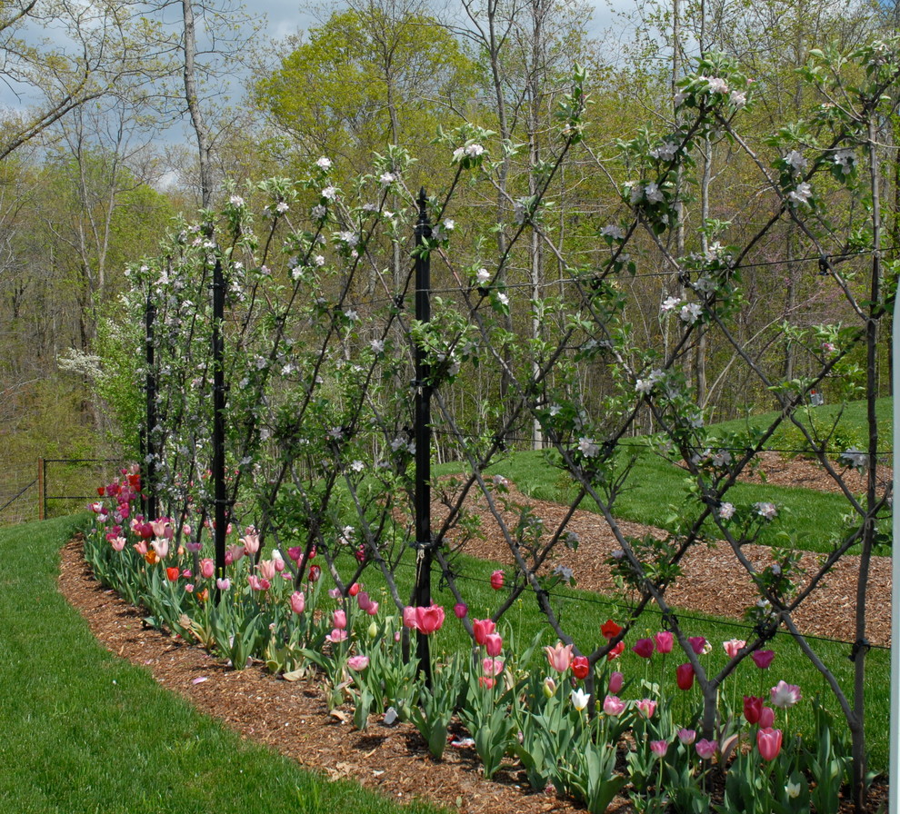 Inspiration for a mid-sized traditional partial sun side yard formal garden in Other.