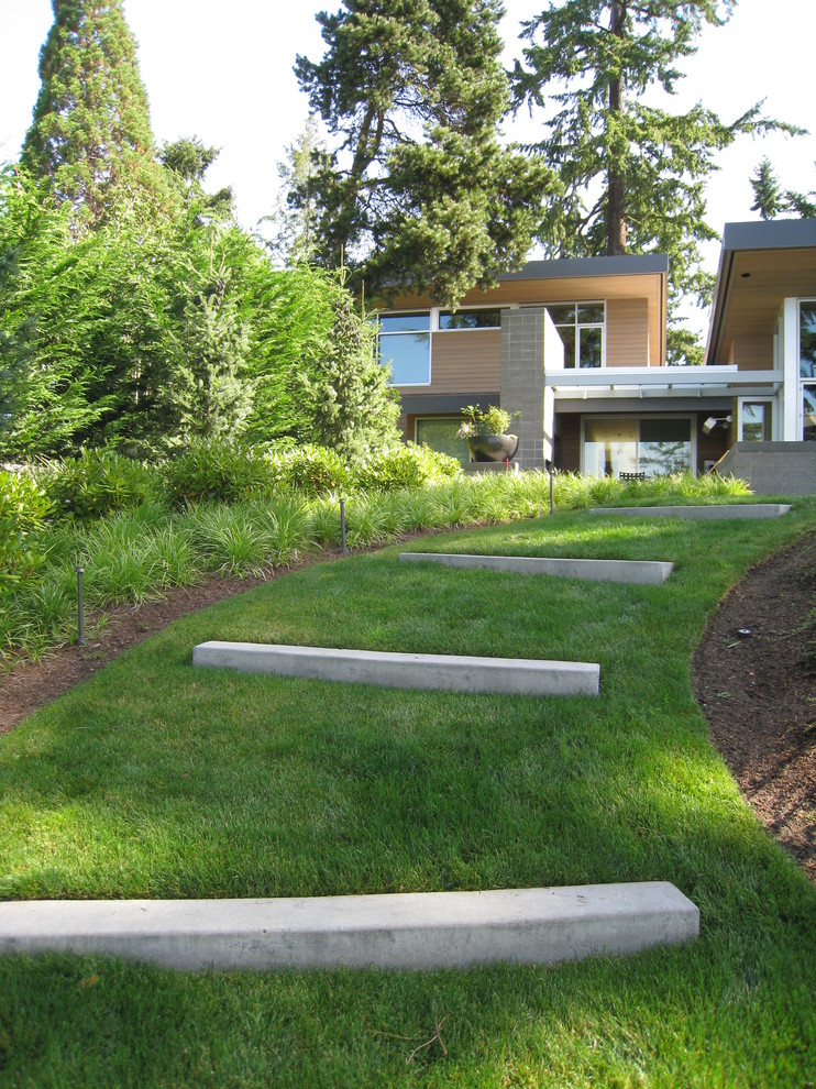 Aménagement d'un jardin contemporain avec une pente, une colline ou un talus.