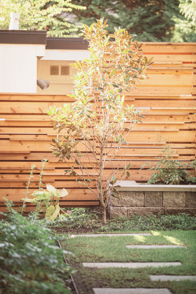 Foto di un giardino minimalista esposto in pieno sole dietro casa e di medie dimensioni con pavimentazioni in cemento