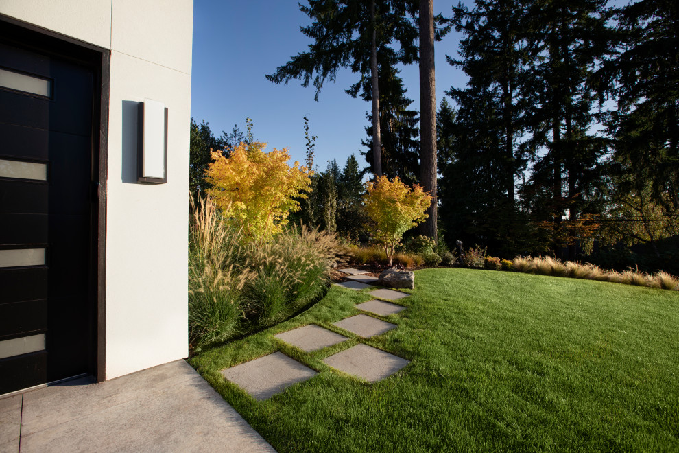 Cette image montre un jardin à la française latéral minimaliste de taille moyenne avec un chemin, une exposition ensoleillée et des pavés en béton.