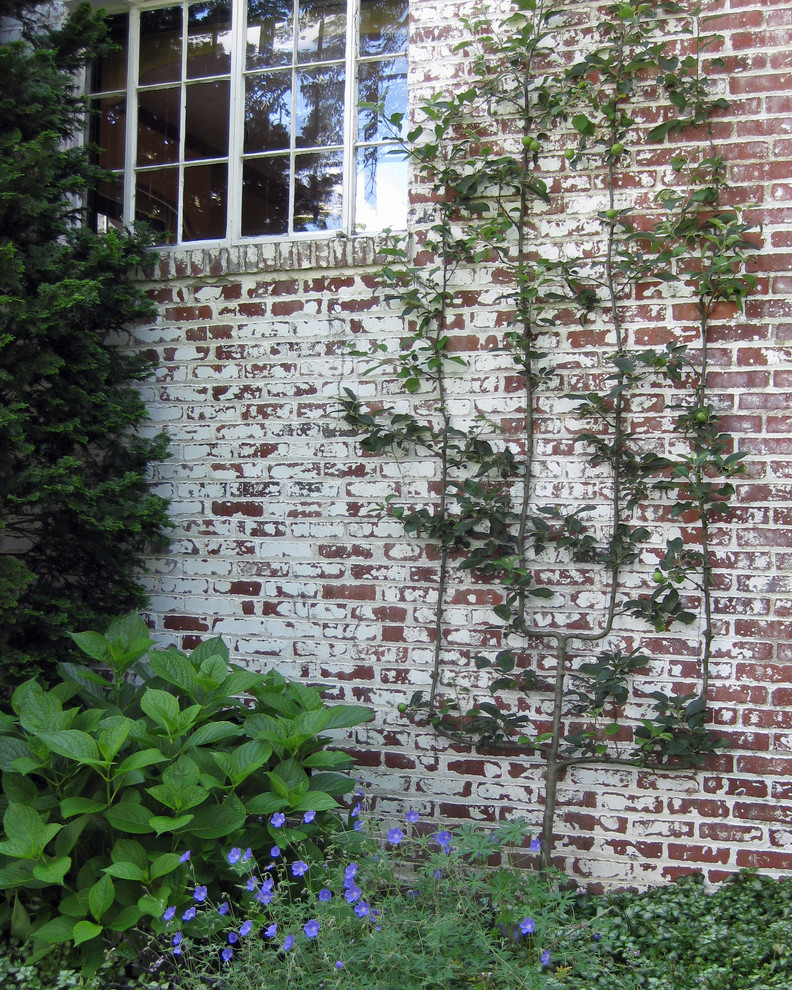 Kleiner, Halbschattiger Klassischer Garten mit Natursteinplatten in New York